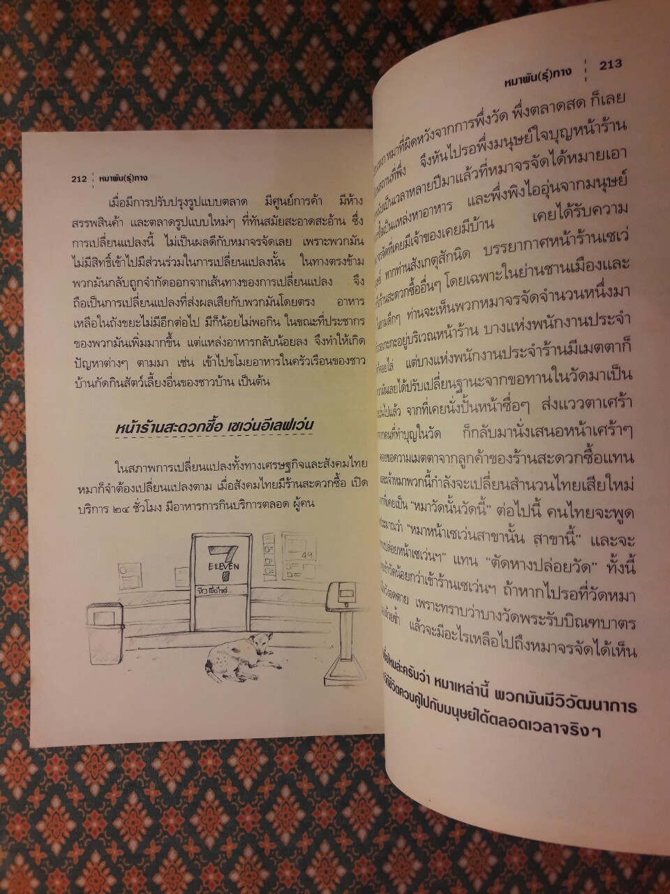 หมาพัน(ธุ์)ทาง