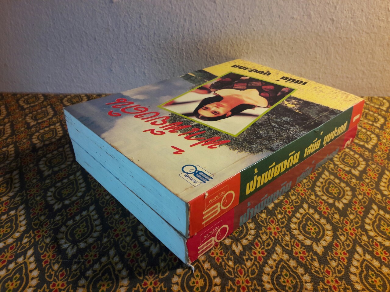 ฟ้าเพียงดิน (2 เล่มจบ)