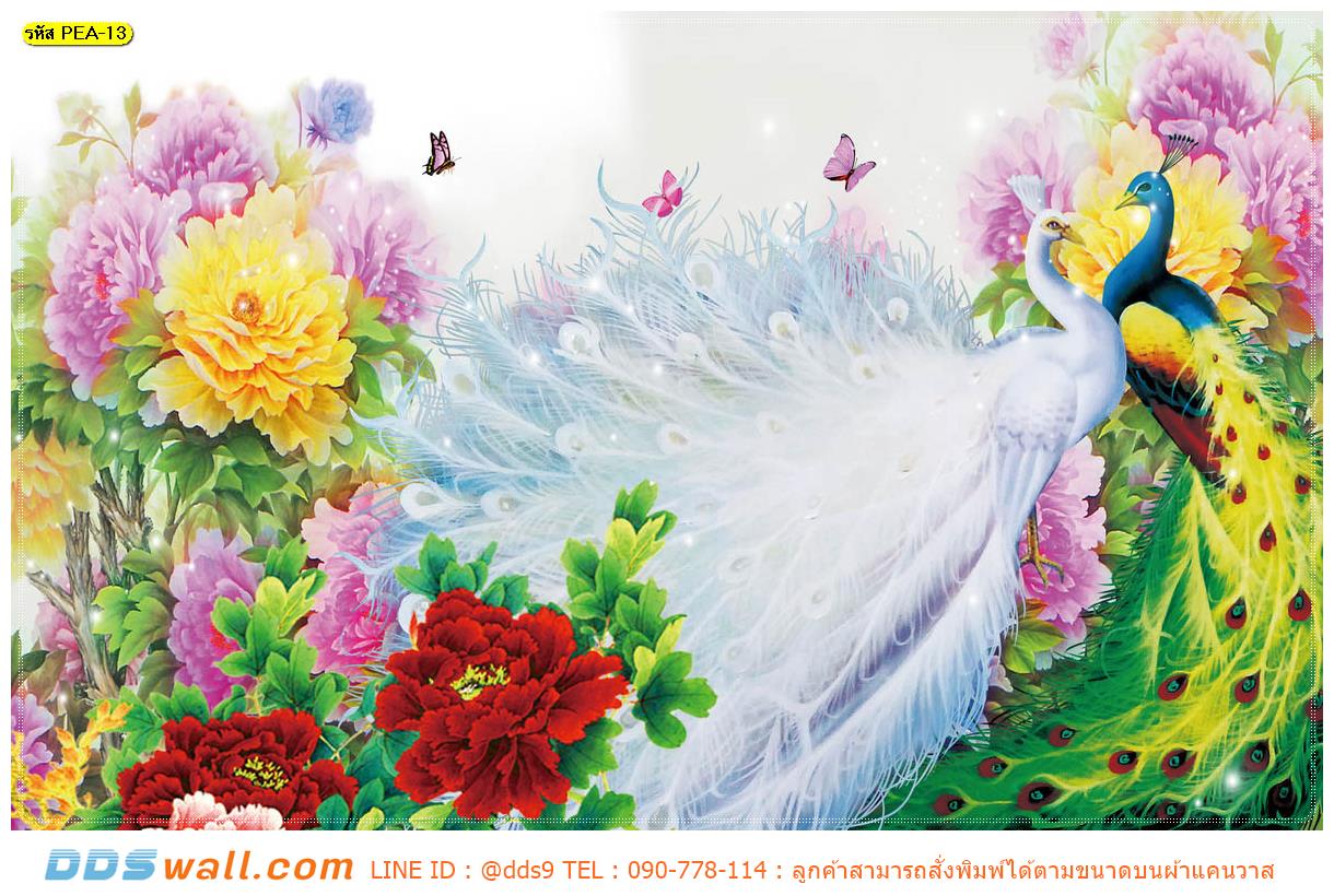 ขายวอลเปเปอร์ภาพวิว ตกแต่งผนังภายในบ้าน ลายนกยูงในสวนดอกไม้ นกยูงสื่อรัก กระตุ้นให้มีคนที่ดีเข้ามาในชีวิต