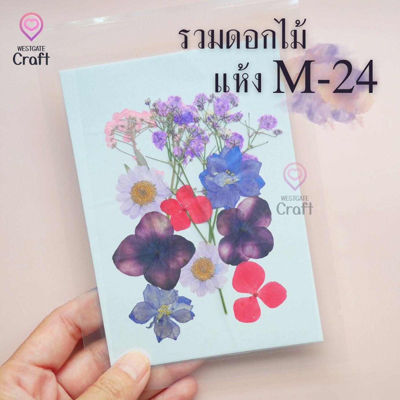 รวมดอกไม้แห้ง M ดอกไม้แห้งทับ ดอกไม้แบบคละ