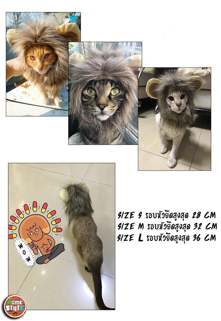 หัวสิงโตน้องเหมียว (น้องโฮ๋งก็ใส่ได้) มีไซส์