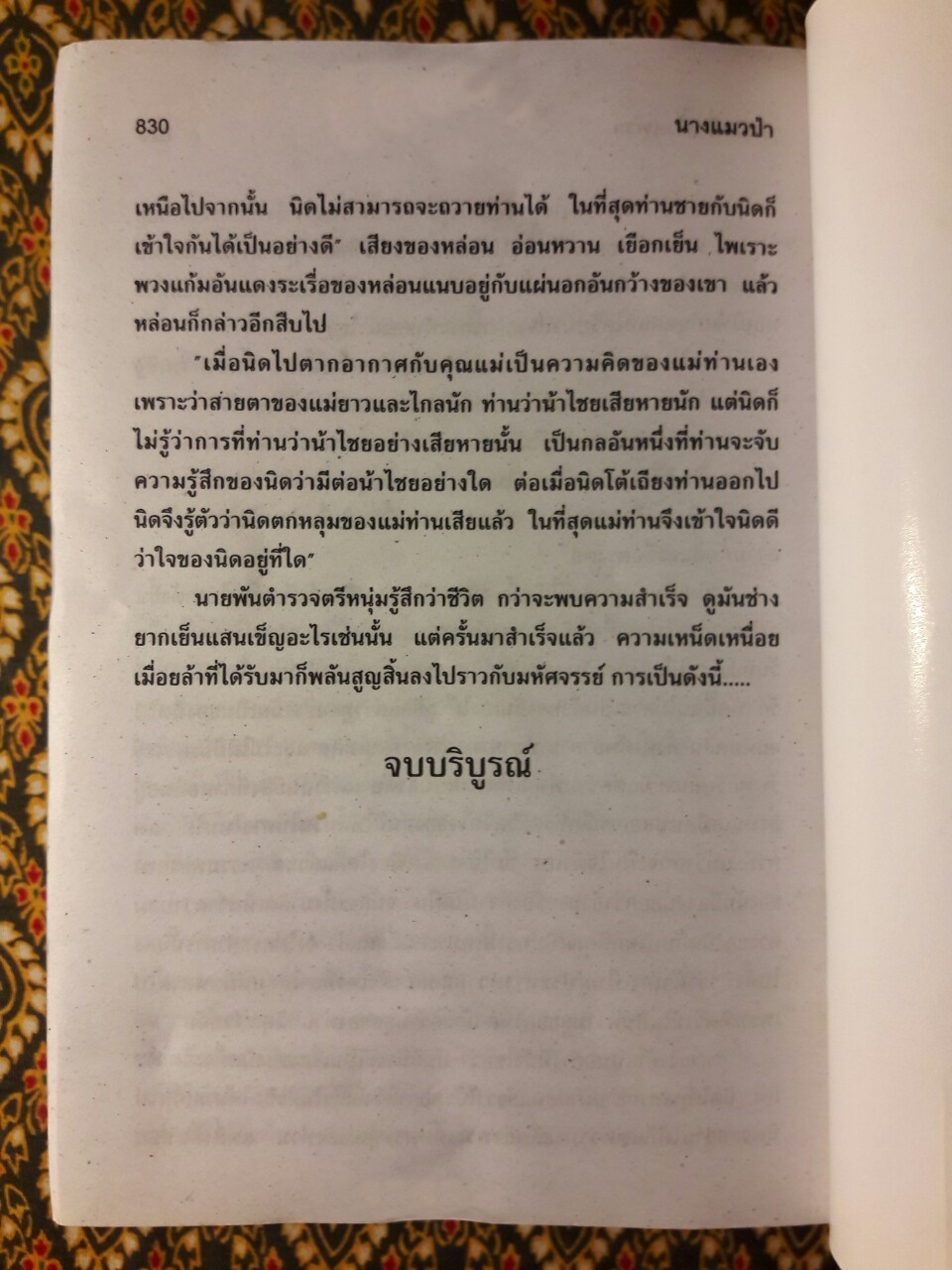 นางแมวป่า