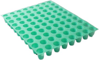 ถ้วยเพาะเขียว 80 หลุม