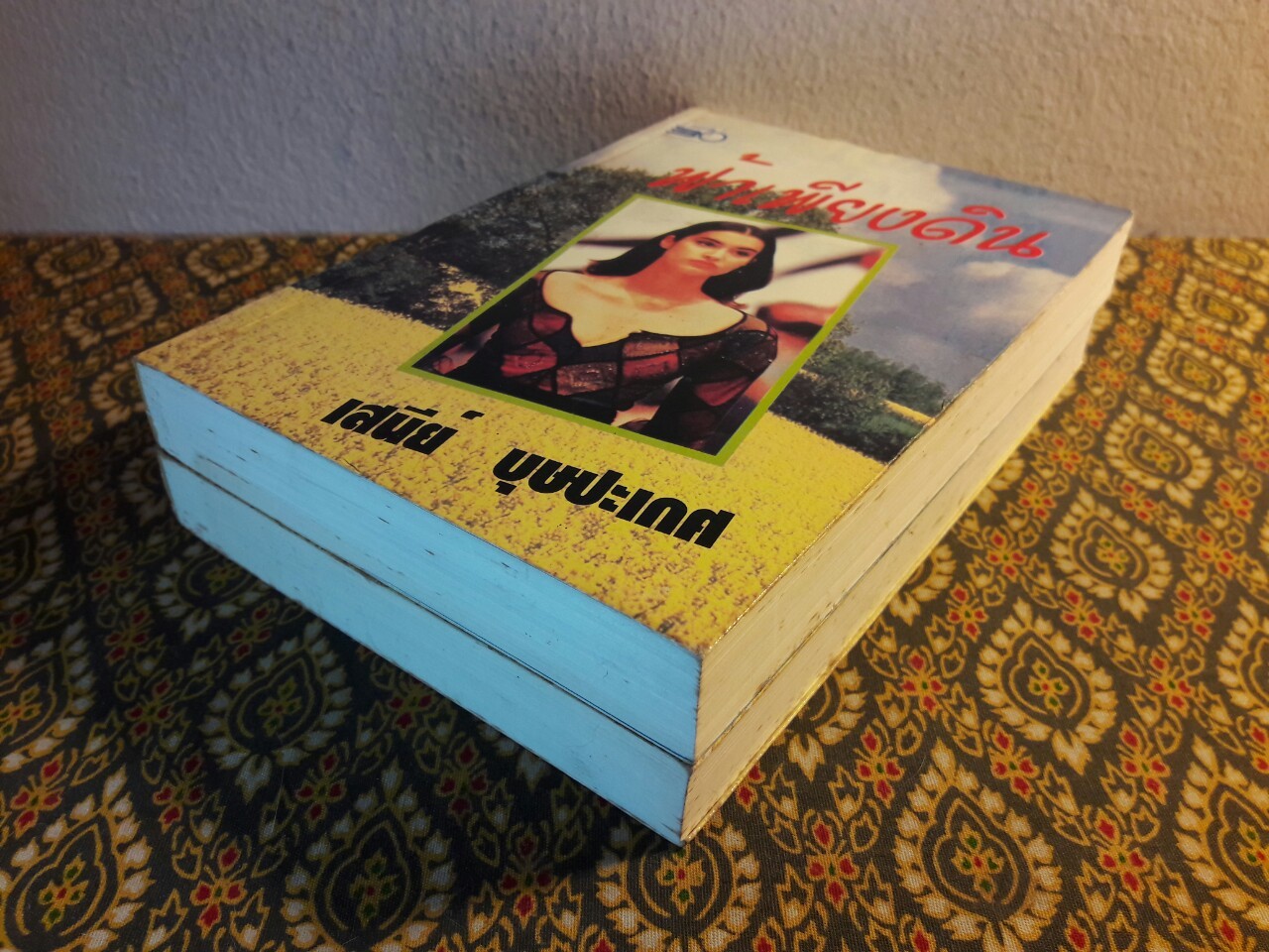 ฟ้าเพียงดิน (2 เล่มจบ)