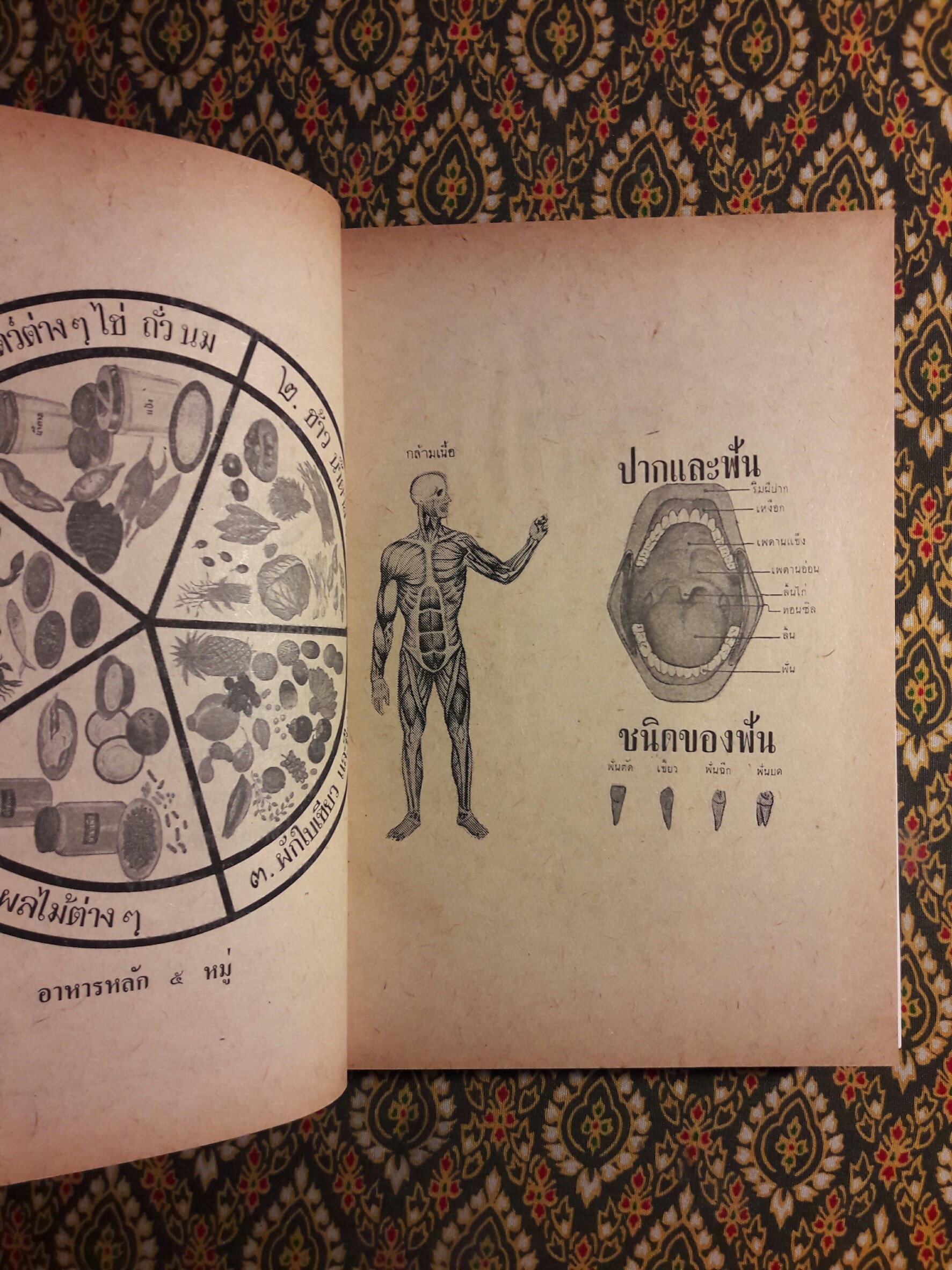 คู่มือแพทย์ประจำครอบครัวและใช้ยารักษาโรคปัจจุบัน