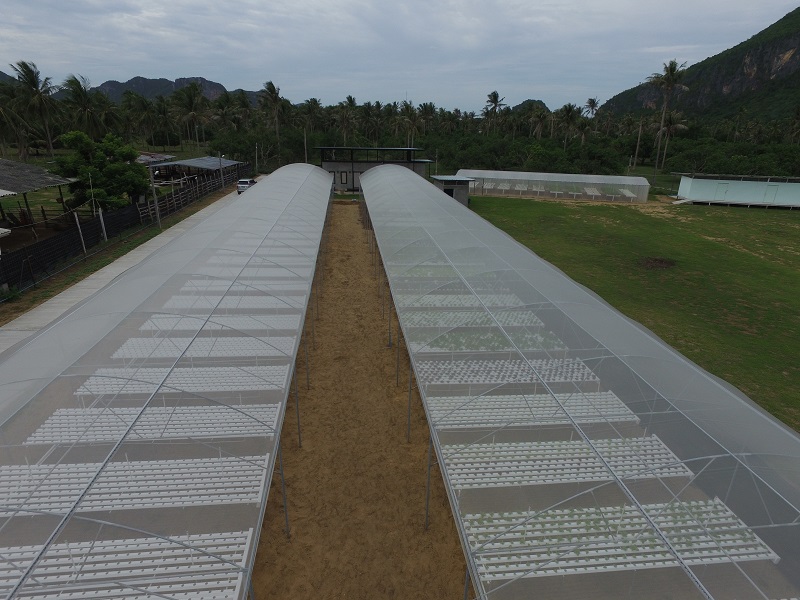 ปราณคีรี ฟาร์ม 300ยอด ปราณบุรี