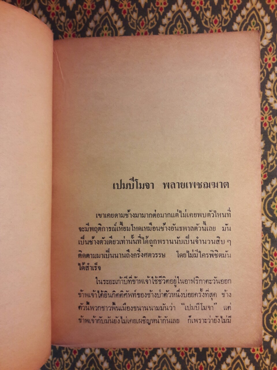 เปมบีโมจา พลายเพชฌฆาต Pembe Moja