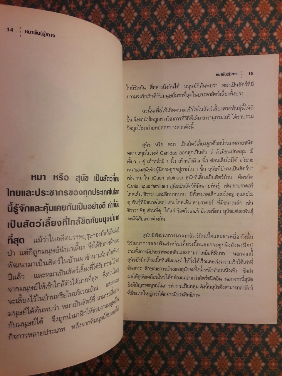 หมาพัน(ธุ์)ทาง