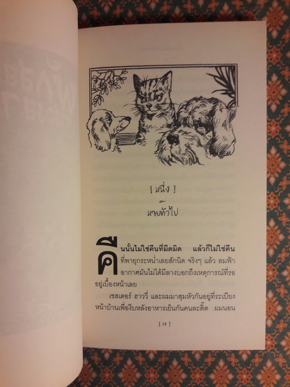 บันนีคิวลา Bunnicula (Box Set)