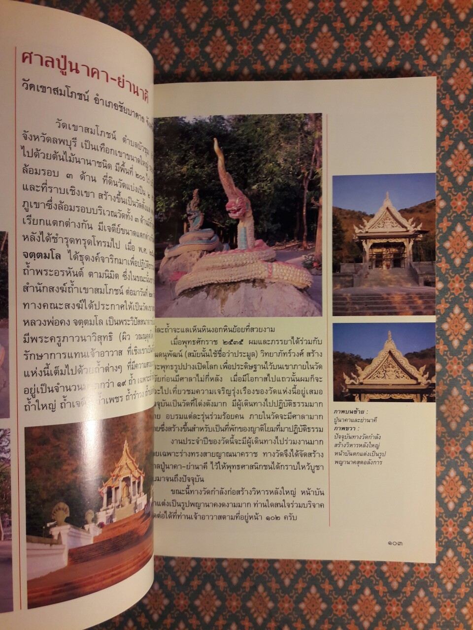 มหัศจรรย์พญานาค