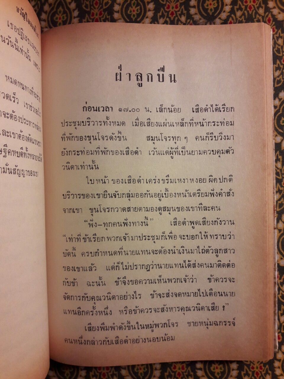 เสือดำ (เล่ม 1)