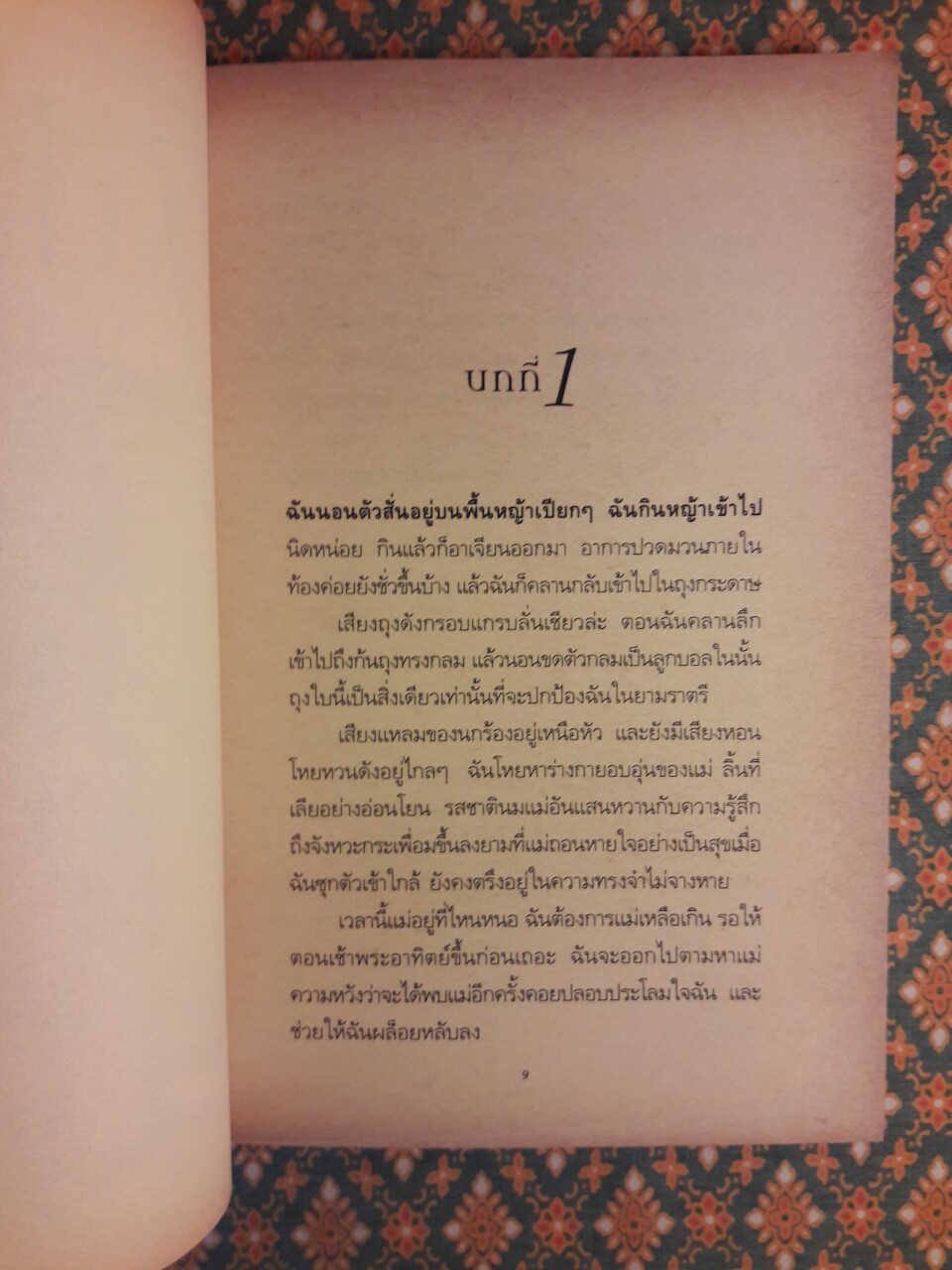 สปังค์กี้ เพื่อนสี่ขาพเนจร Spunky