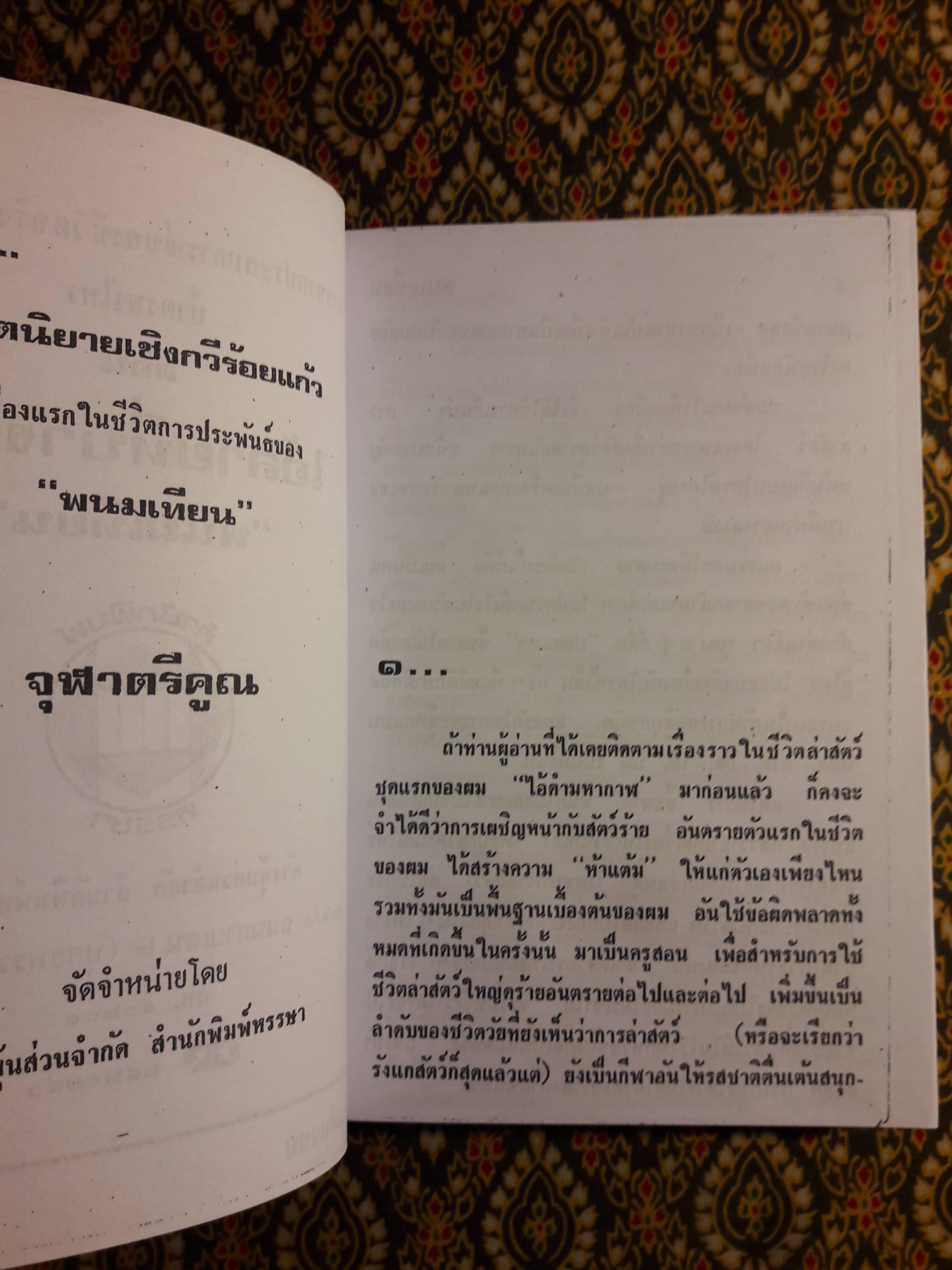 ไอ้ลายที่บางราง "ฉบับสำเนา"