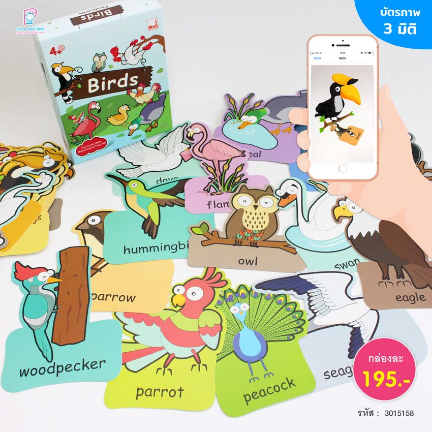 Flash Cards Birds (AR)