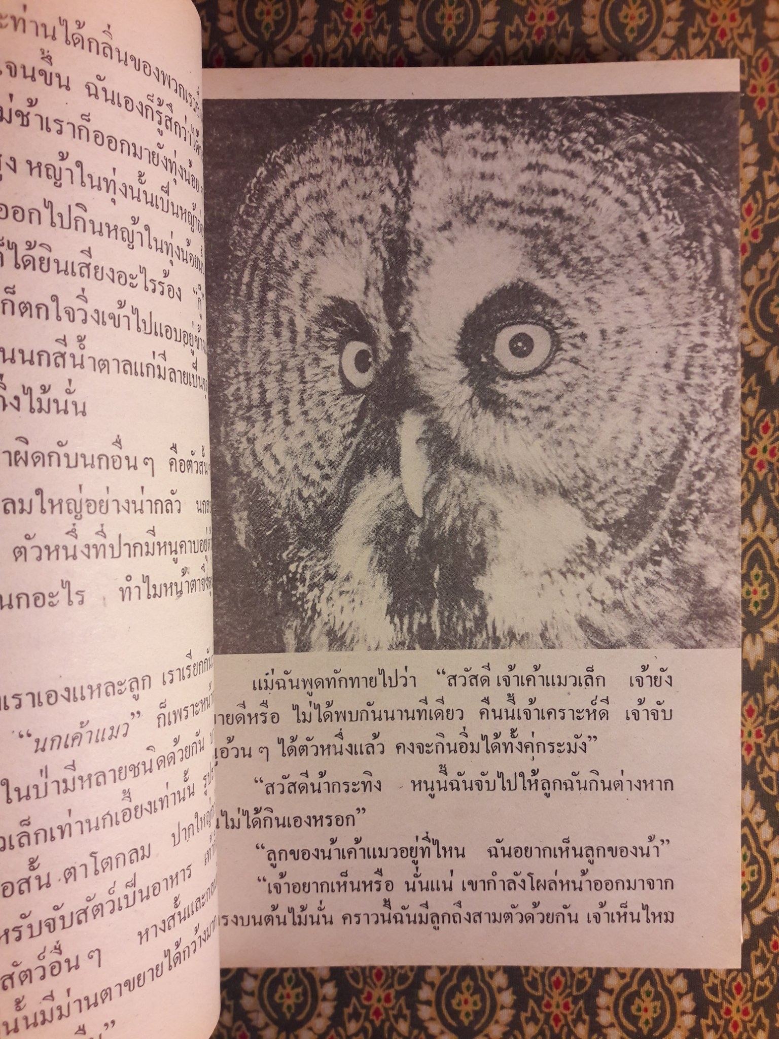 ชีวิตของฉันลูกกระทิง “หนังสือดี 100 ชื่อเรื่อง ที่เด็กและเยาวชนไทยควรอ่าน”