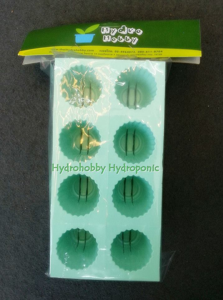 ถ้วยเพาะเขียว 80 หลุม