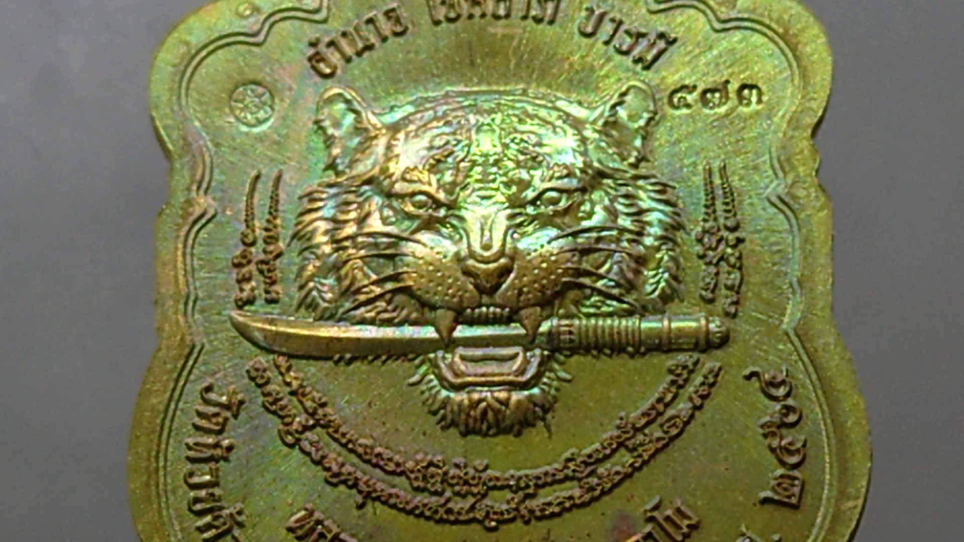 เสือคาบดาบรุ่น 4 เนื้อชนวน ลงยา 3 สี ลงยาขอบแดง บนขาว ลงยาจีวร (พิมพ์เสือ1) หลวงพ่อพัฒน์ วัดห้วยด้วน โคท 573