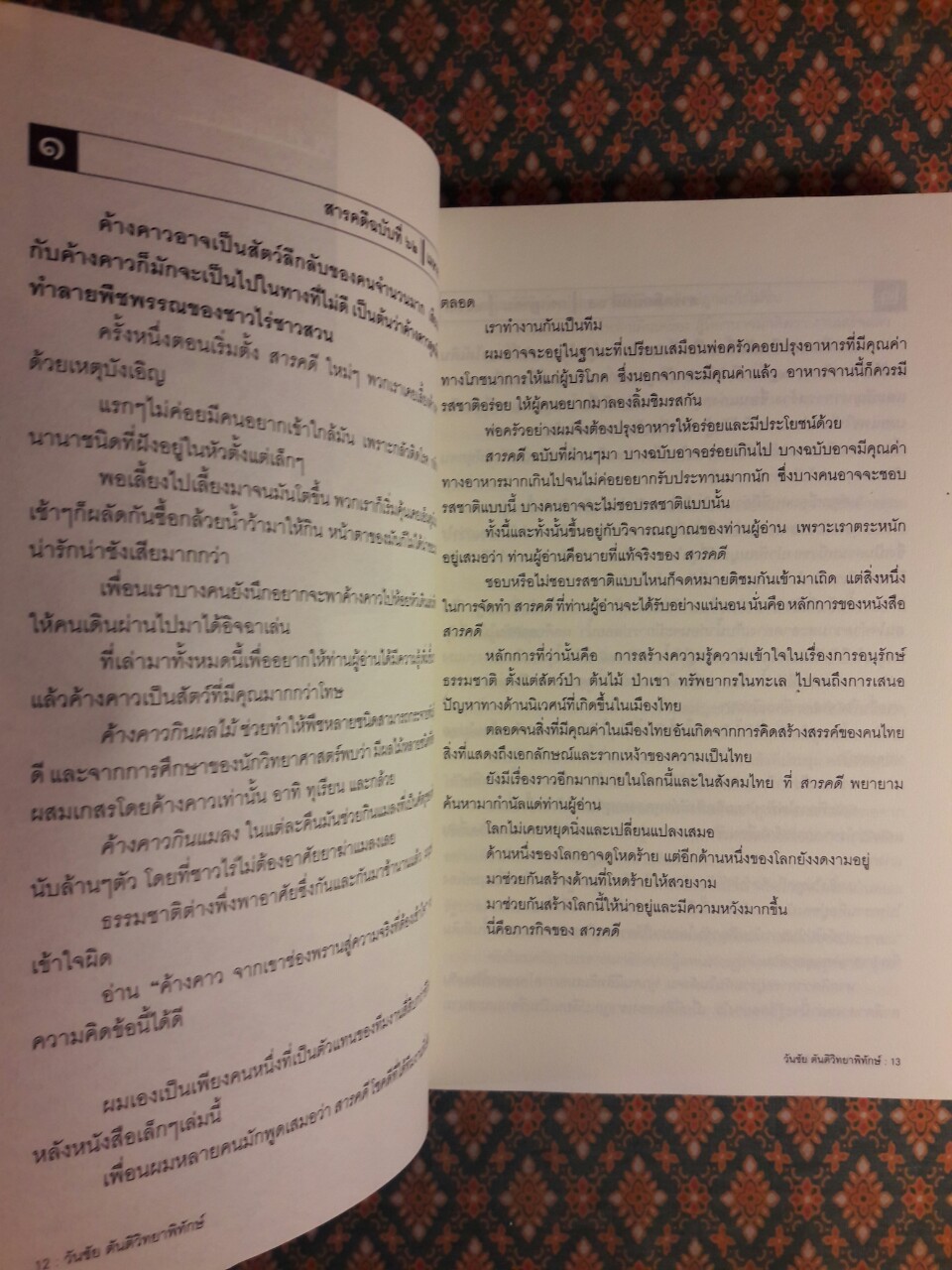 คน เขื่อน น้ำป่า กาแล็กซี