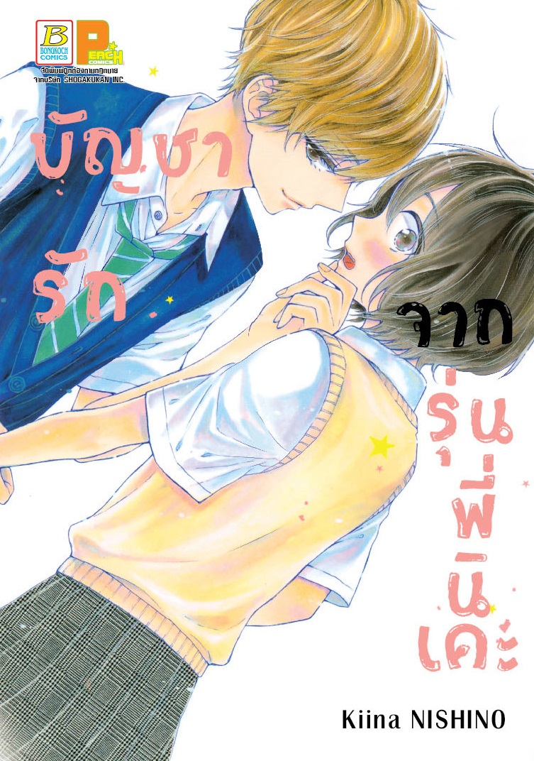 บัญชารักจากรุ่นพี่นิเคะ (เล่มเดียวจบ)
