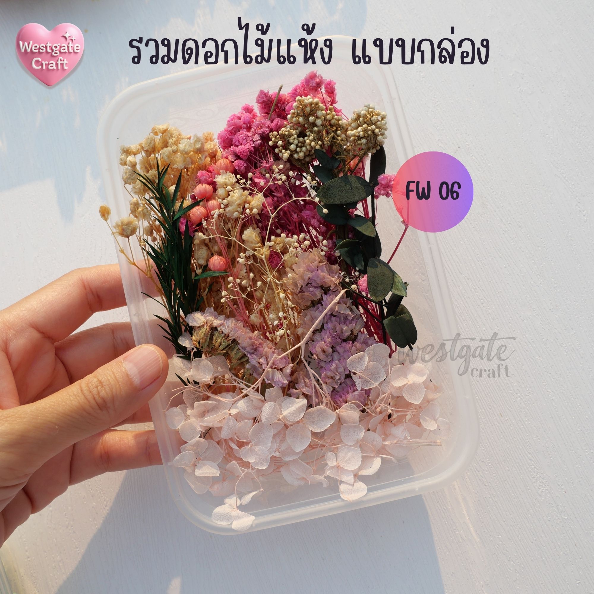 รวมดอกไม้แห้ง แบบกล่อง คละขนาด FW 01-09 , ดอกไม้แห้งจริง