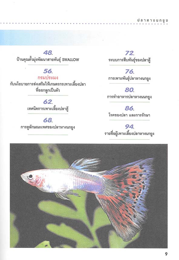 สายพันธุ์และการเพาะเลี้ยงปลาหางนกยูง