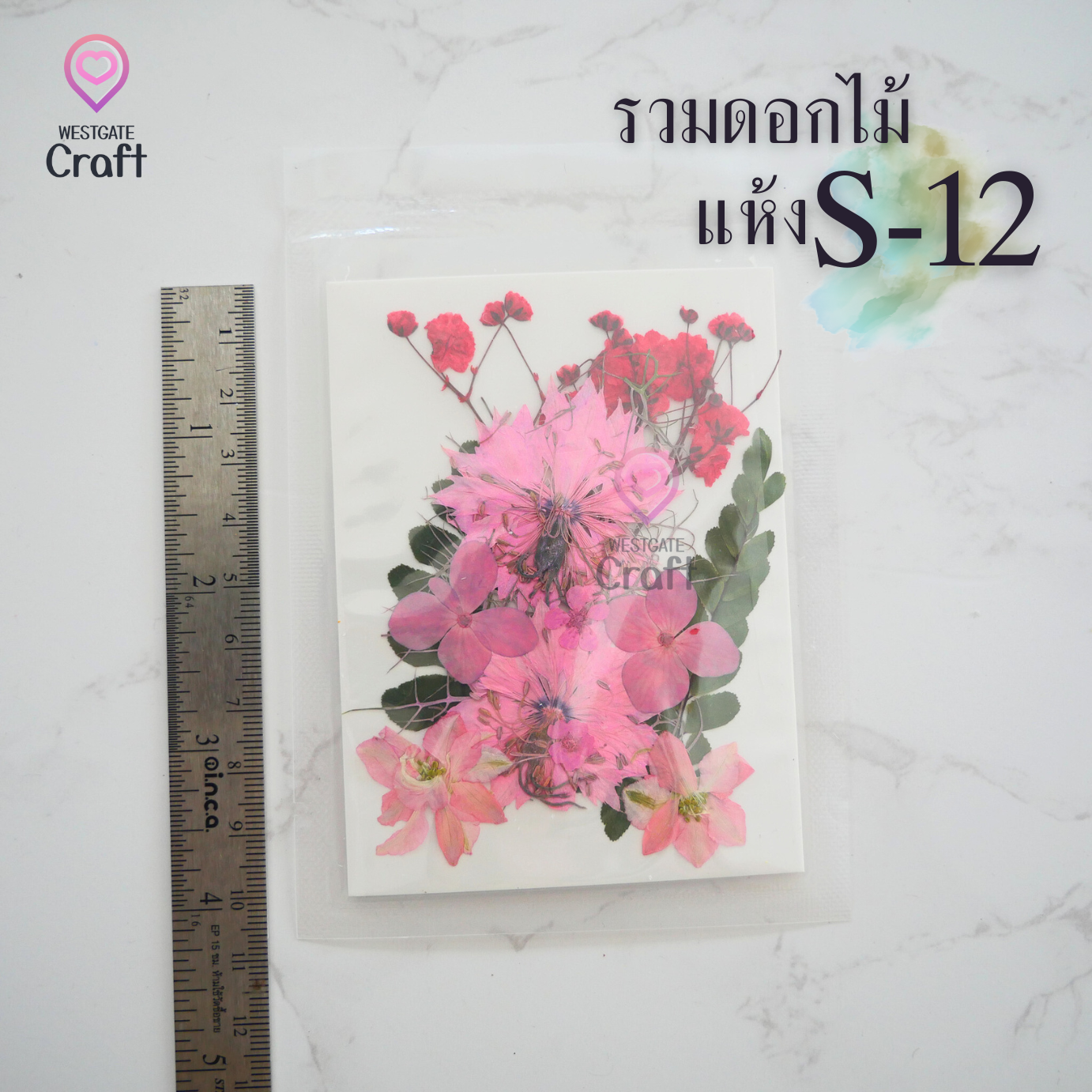 รวมดอกไม้แห้ง S ดอกไม้แห้งทับ ดอกไม้แบบคละ