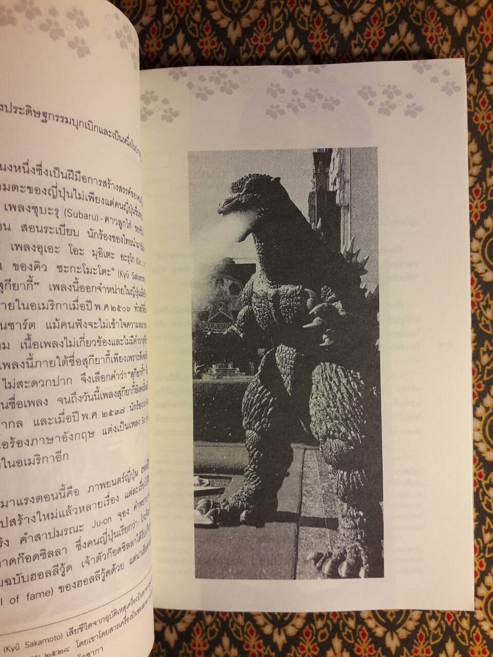 ญี่ปุ่นหลากมุม