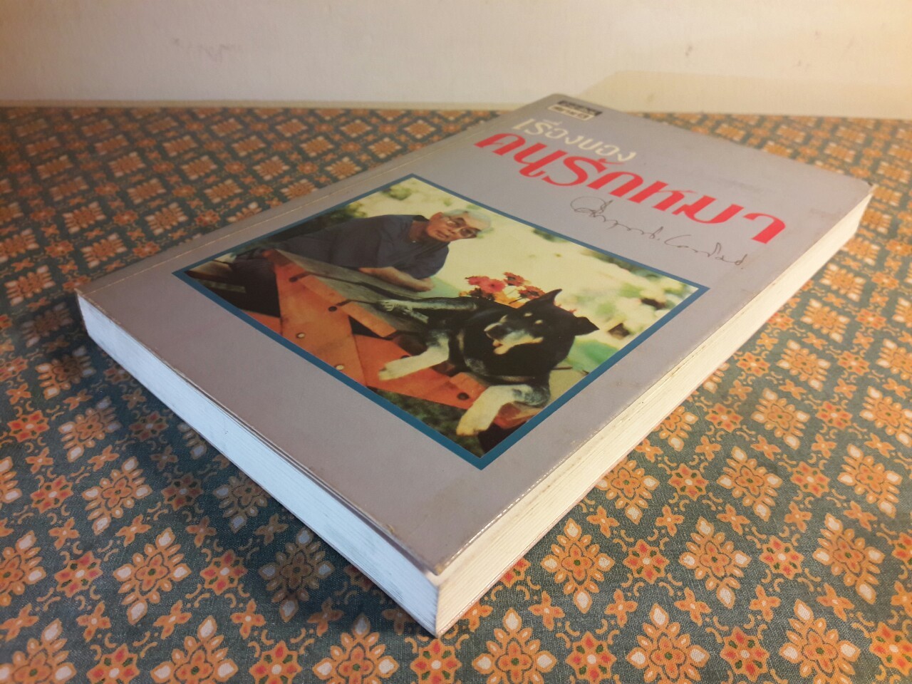 คนรักหมา