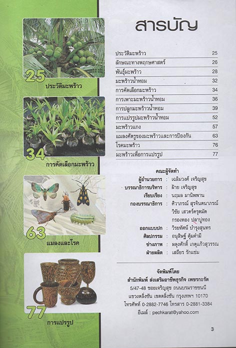 การเพาะปลูกและขยายพันธุ์ มะพร้าว