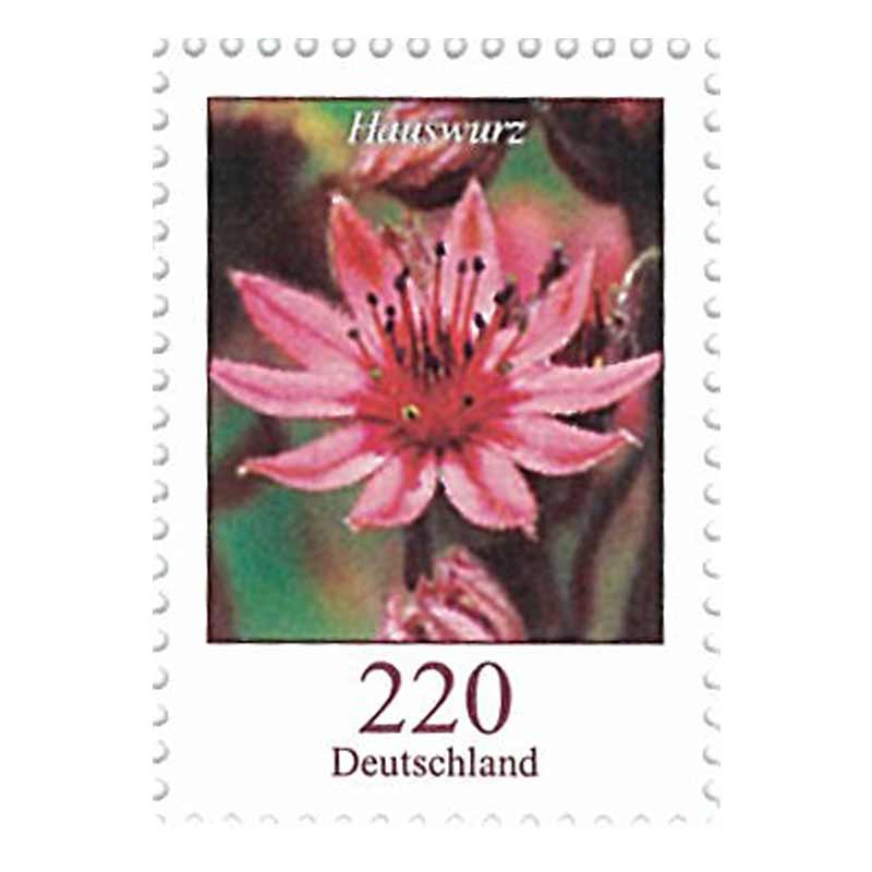 Germany Stamp, 2018 Blumen Hauswurz