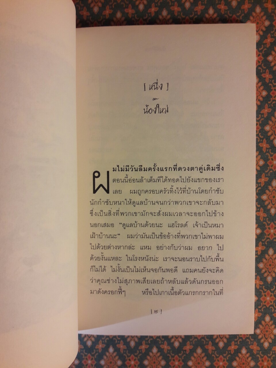 บันนีคิวลา Bunnicula (Box Set)