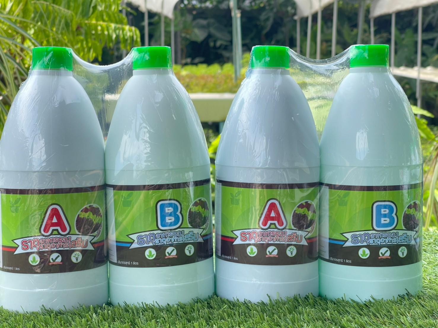 ปุ๋ยไฮโดรโปนิกส์ AB1000cc (ชนิดน้ำสูตรเข้มข้น) สำหรับผักไฮโดรโปนิกส์โดยเฉพาะ สินค้ามีพร้อมส่ง