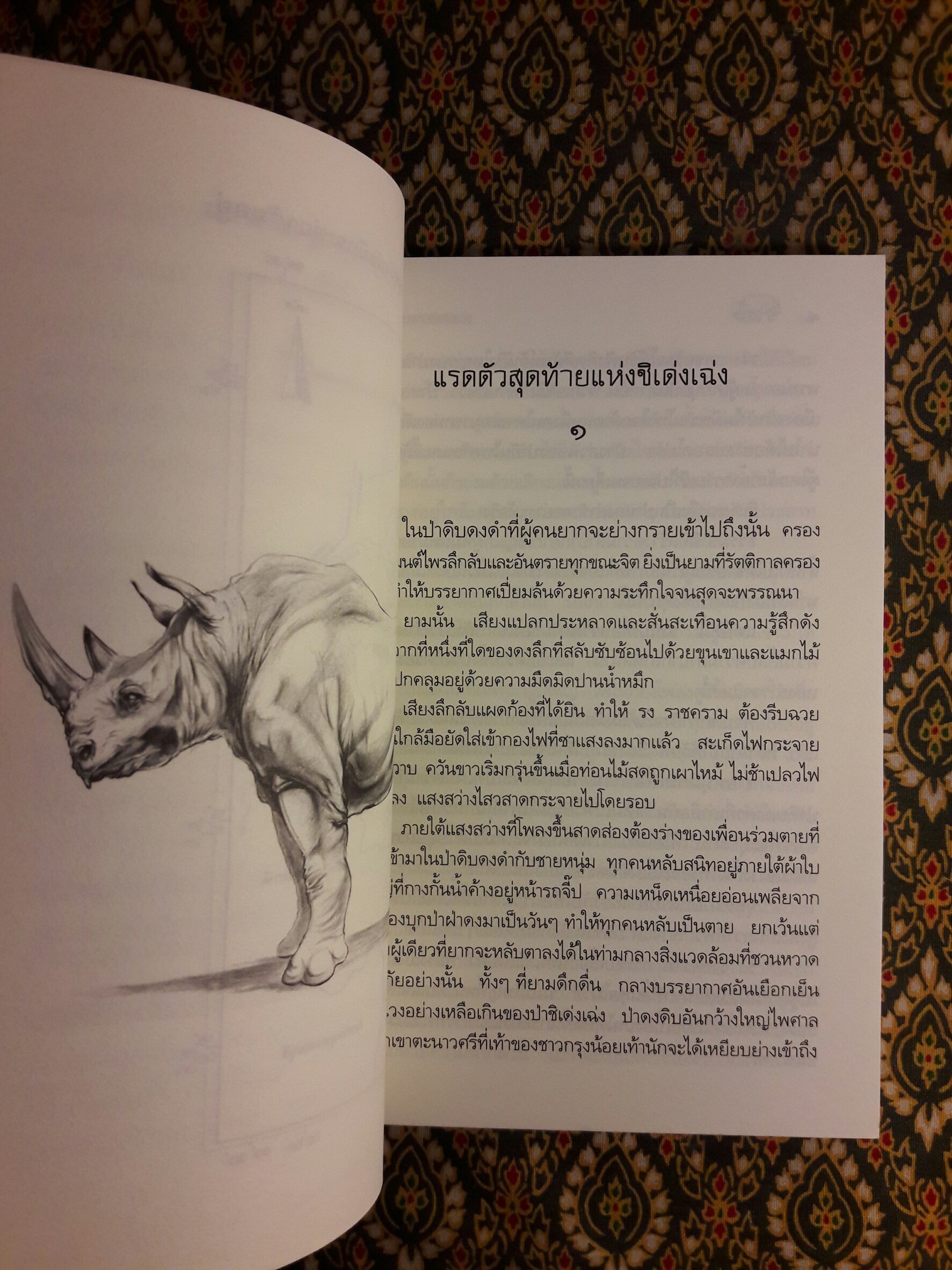 แรดตัวสุดท้ายแห่งชิเด่งเฉ่ง