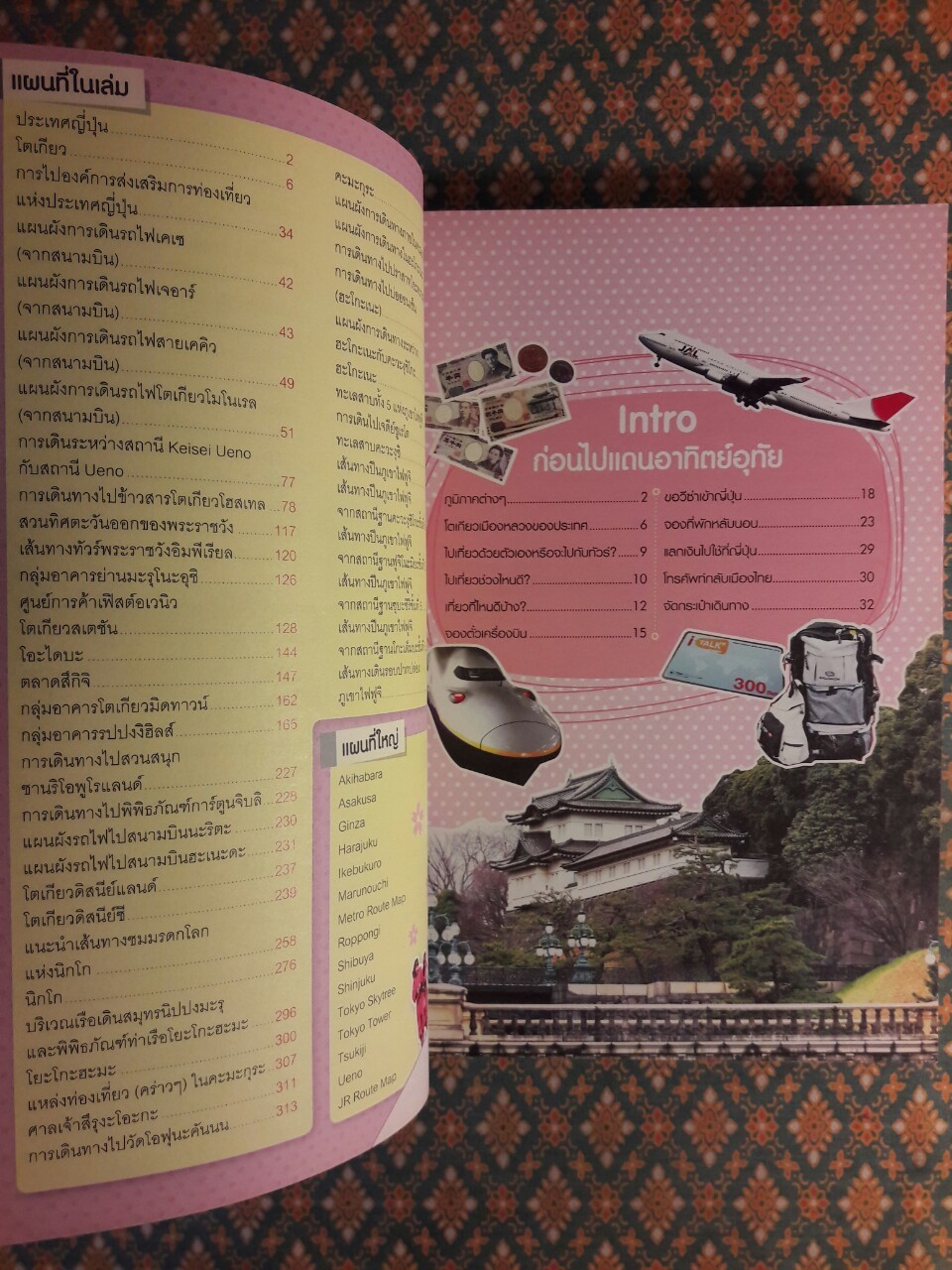 ญี่ปุ่น เที่ยวไม่ง้อไกด์ ไปไม่ง้อทัวร์ โตเกียวและเมืองโดยรอบ