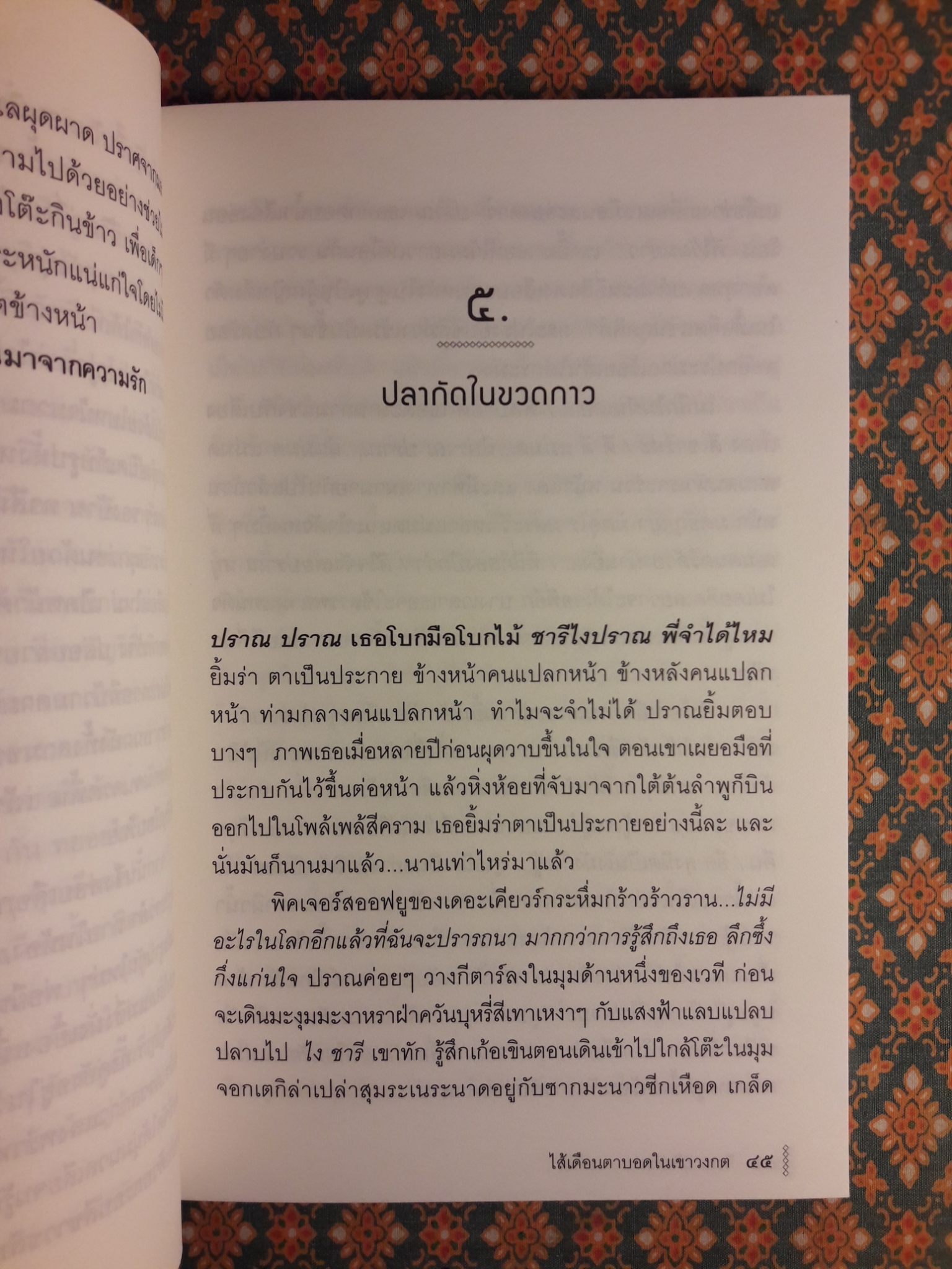 ไส้เดือนตาบอดในเขาวงกต (หนังสือรางวัลซีไรต์)