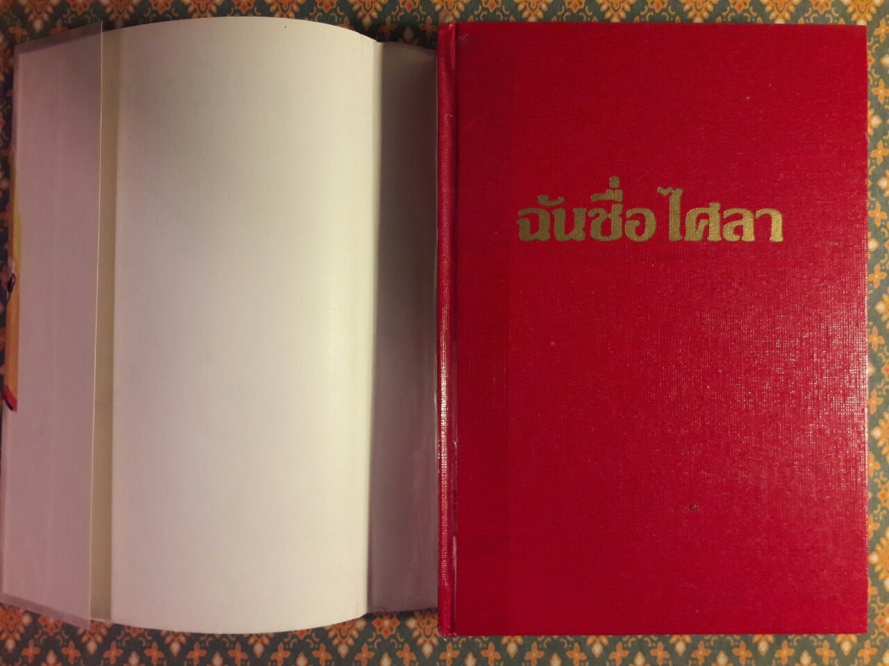 ฉันชื่อไศลา (2 เล่มจบ)