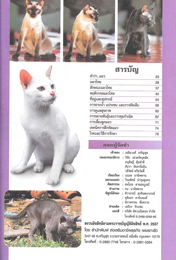คู่มือสำหรับการเลี้ยงแมวไทย