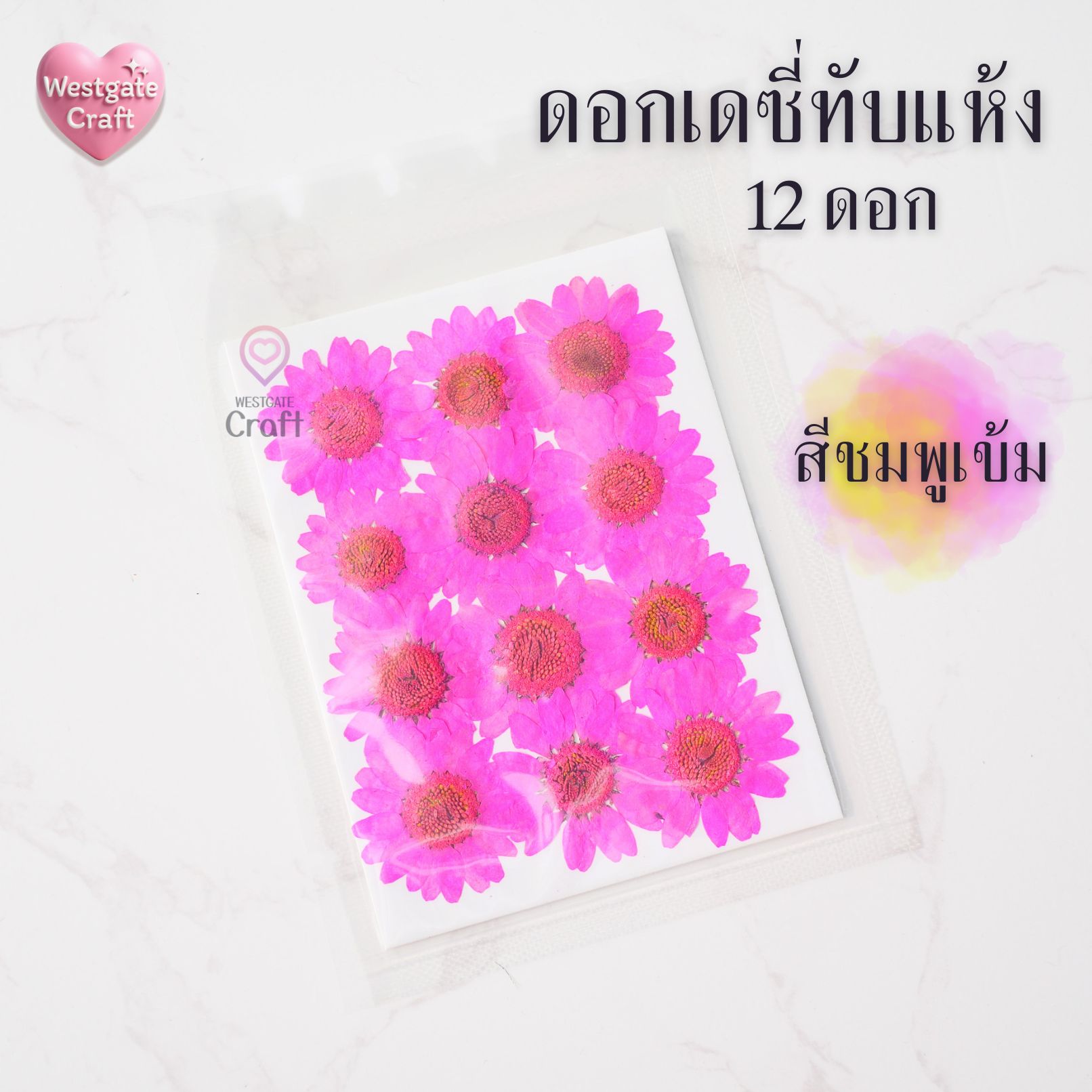 ดอกเดซี่แห้งทับ 12 ดอก ดอกไม้แห้งทับ คละขนาด