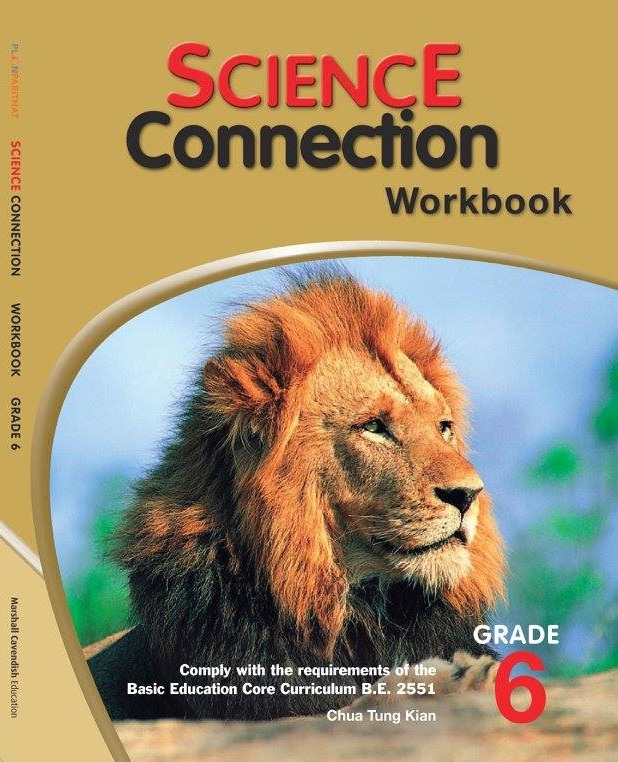 Science Connection Workbook 6