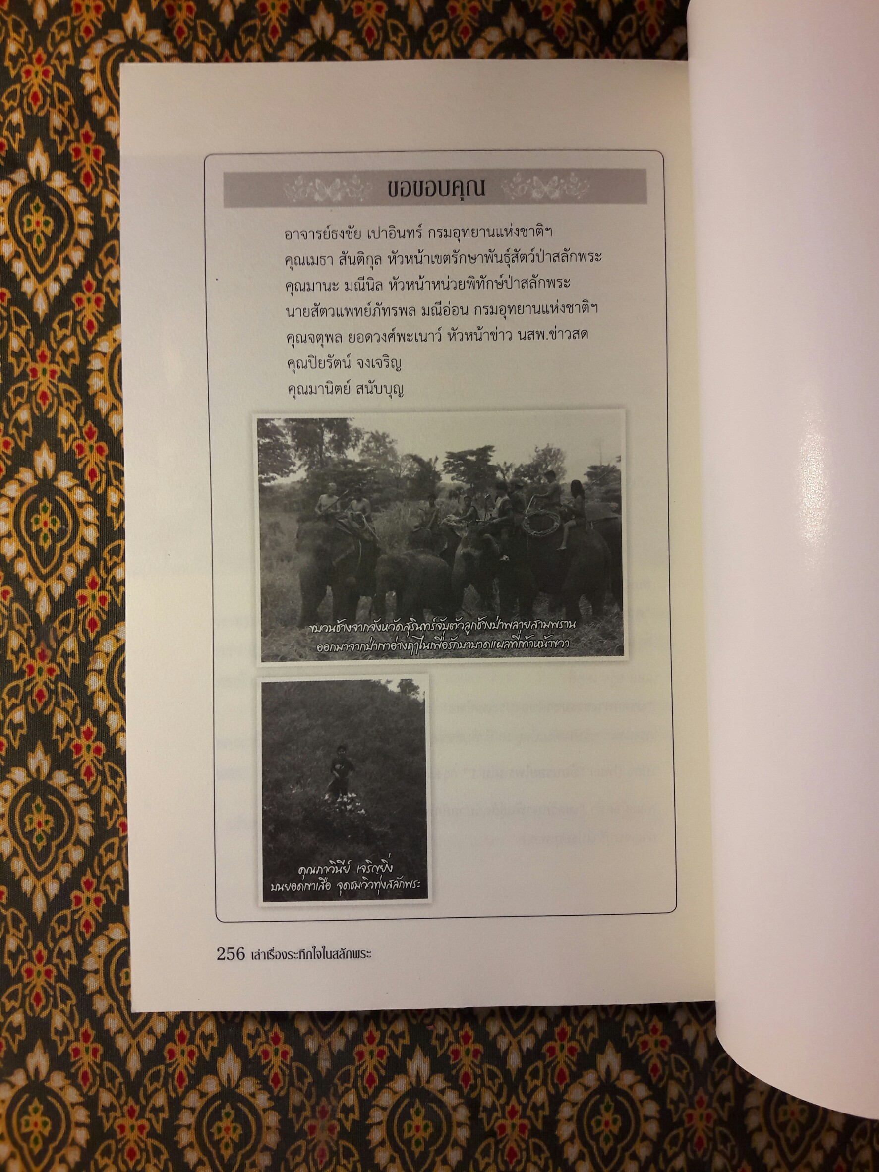 เล่าเรื่องระทึกใจในสลักพระ