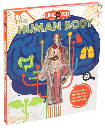 UNCOVER THE HUMAN BODY
