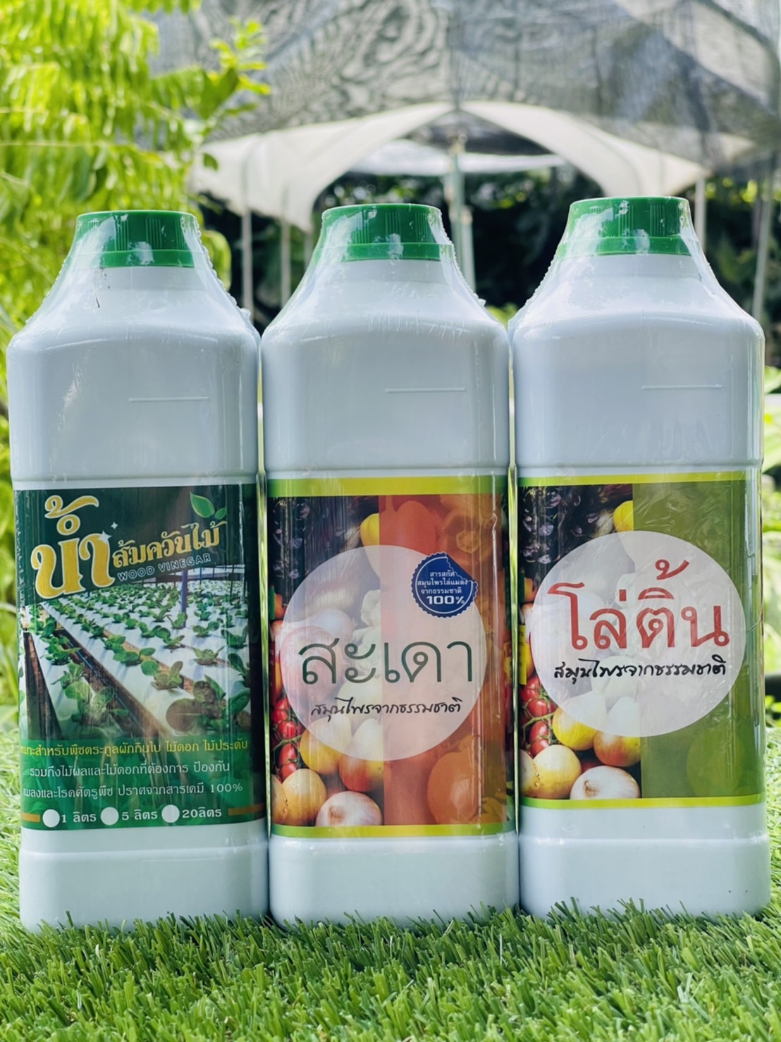 สมุนไพรไล่แมลง โล่ติ้น