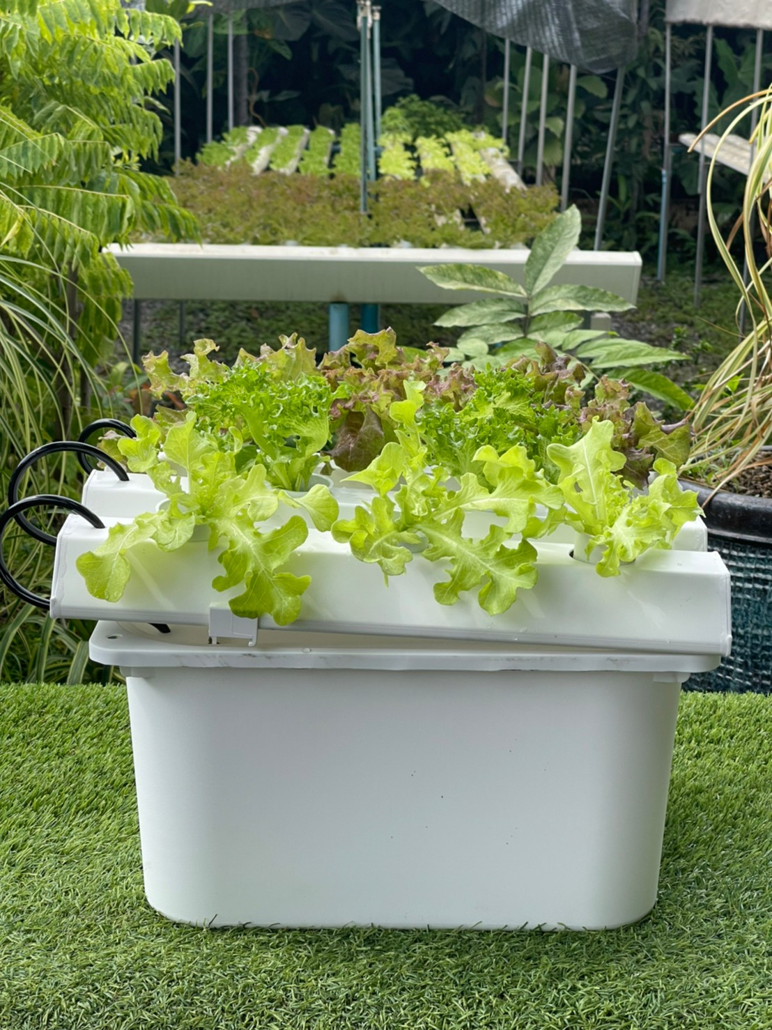 ชุดปลูกผักไฮโดรโปนิกส์ 45 cm. set