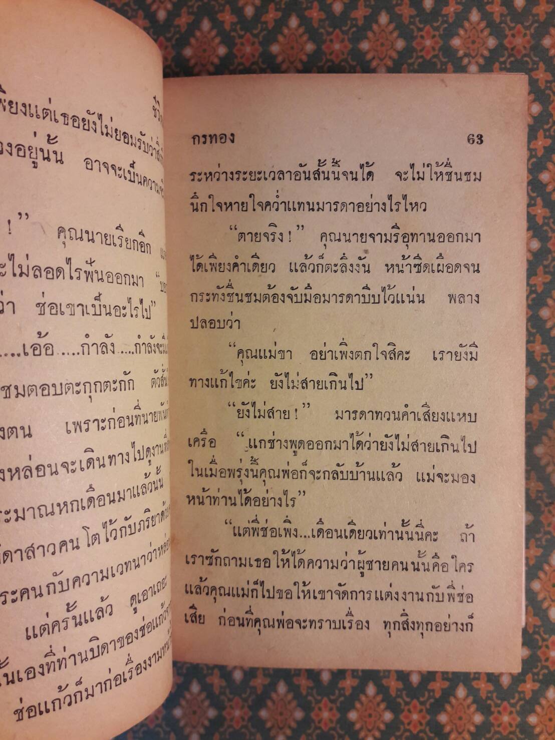 ชีวิตผวา (2 เล่มจบ)