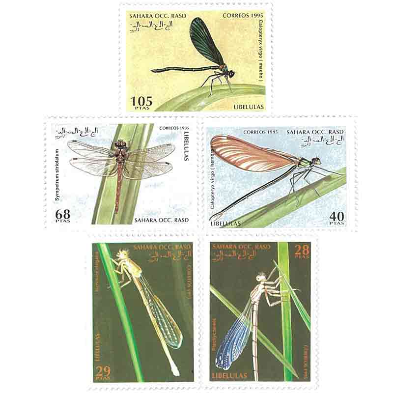 Sahara Stamp, 1995 Dragon Flies, Insect, Nature
