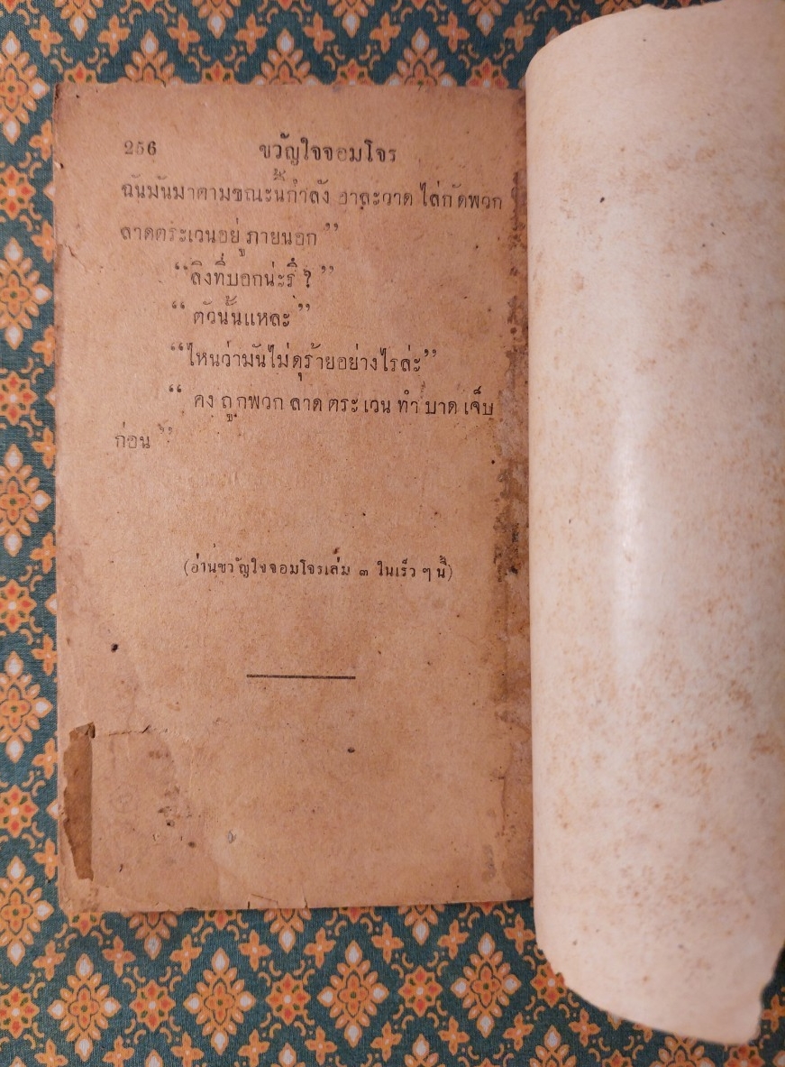 ขวัญใจจอมโจร (เล่ม 2)