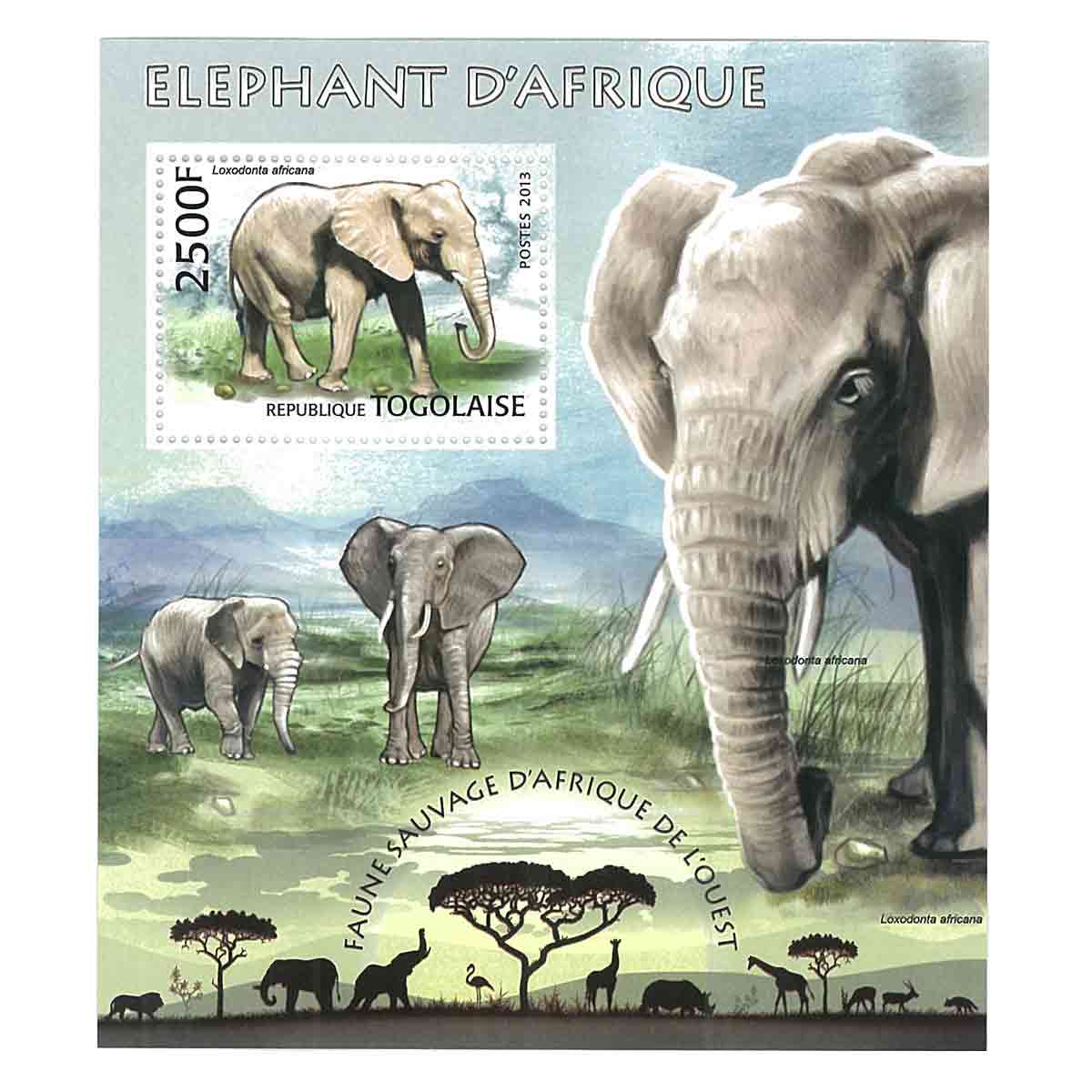 Togo Stamp, 2013 African Elephant, Wildlife, Animals S/S