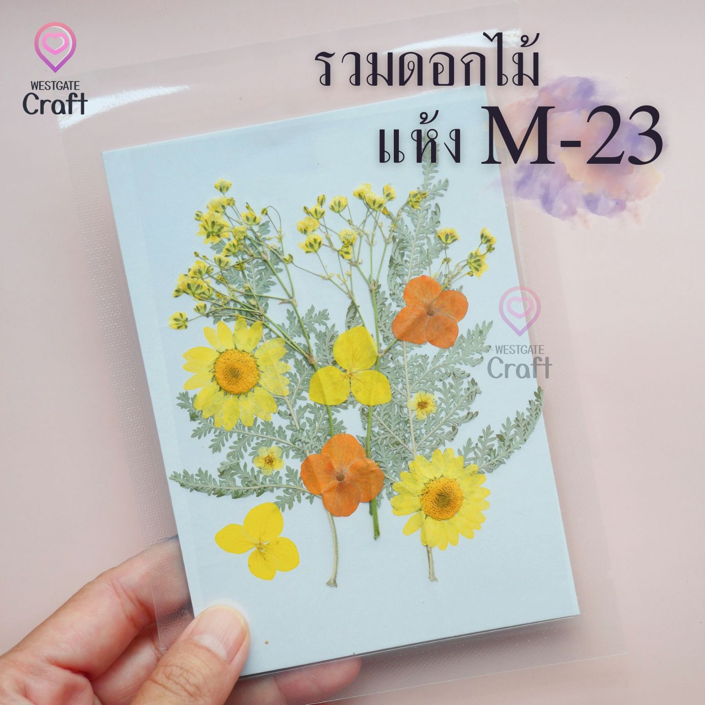 รวมดอกไม้แห้ง M ดอกไม้แห้งทับ ดอกไม้แบบคละ