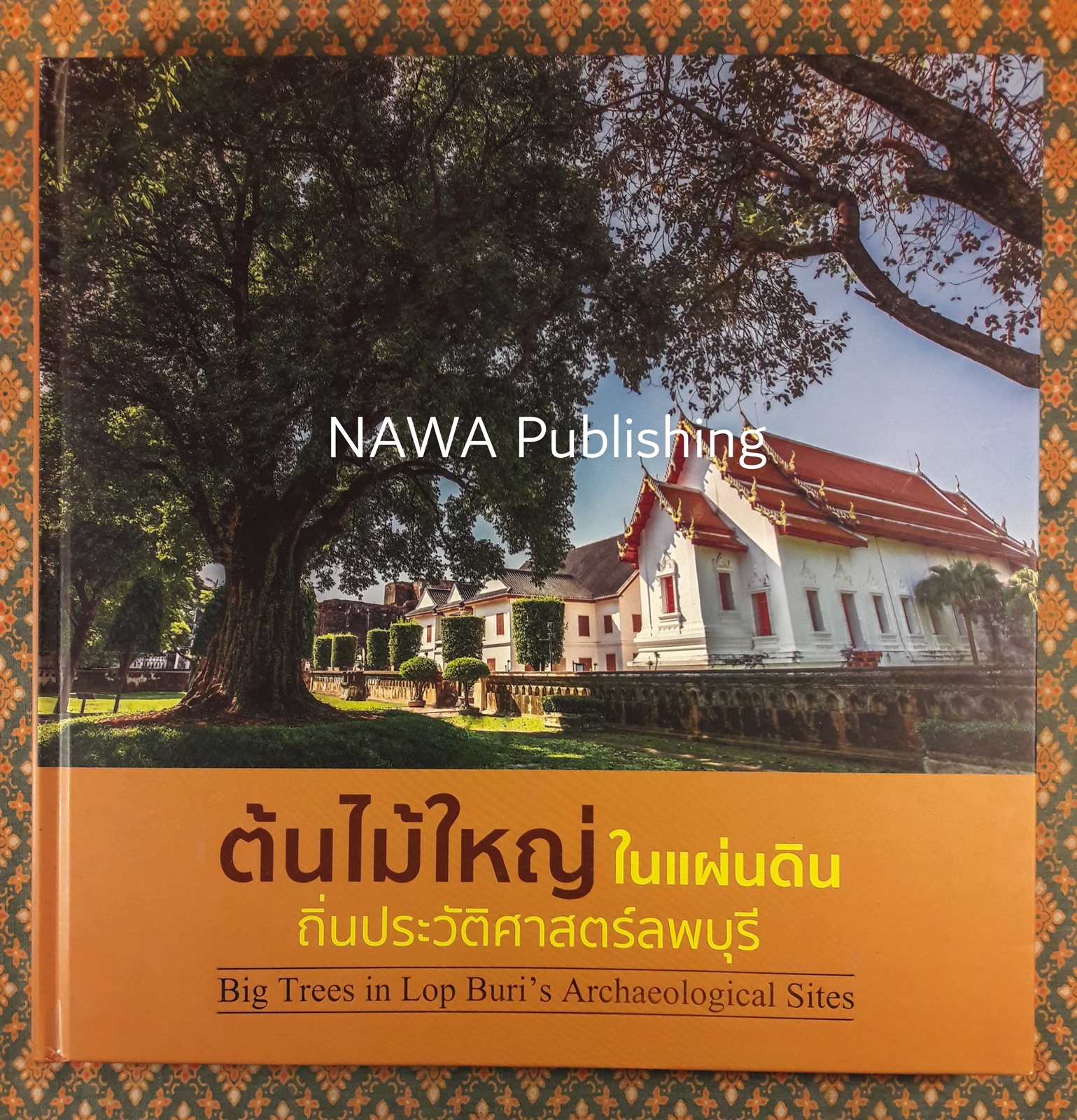 ต้นไม้ใหญ่ในแผ่นดินถิ่นประวัติศาสตร์ลพบุรี Big Trees in Lop Buri's Archacological Sites