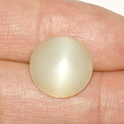 มูนสโตนตาแมว หรือ มุกดาหารตาเเมว (Cat's eye Moonstone) 9.82 กะรัต รูปร่างดี เนื้อเนียน มีตาเเมว